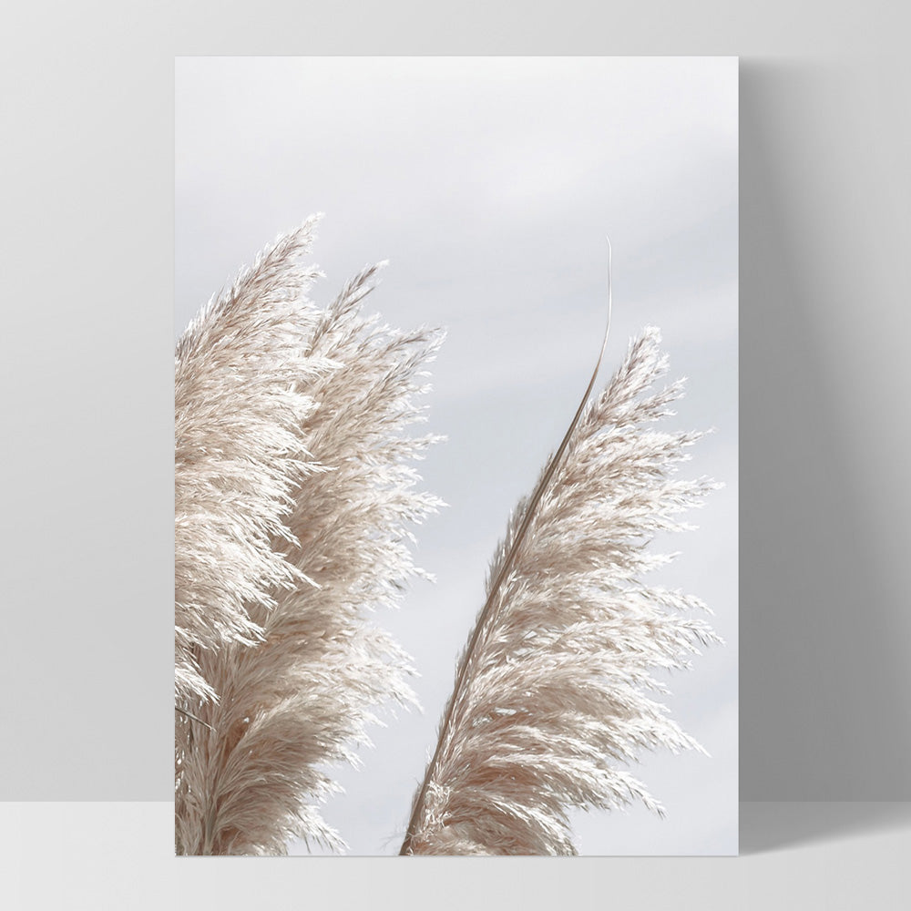Pampas Grass II in Pastels - Art Print, Poster, Stretched Canvas, or Framed Wall Art Print, shown as a stretched canvas or poster without a frame