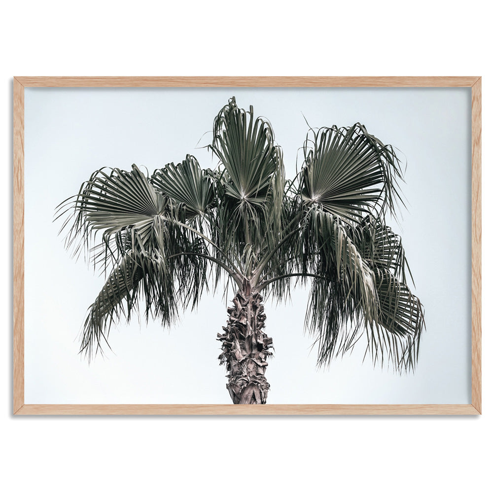 California Coastal Palm Tree Landscape - Art Print, Poster, Stretched Canvas, or Framed Wall Art Print, shown in a natural timber frame