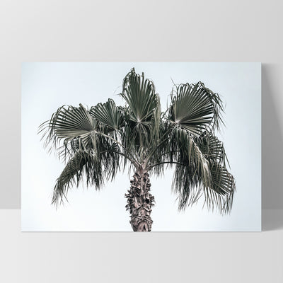 California Coastal Palm Tree Landscape - Art Print, Poster, Stretched Canvas, or Framed Wall Art Print, shown as a stretched canvas or poster without a frame