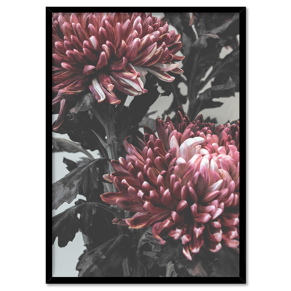 Red Florals / Chrysanthemums in Bloom - Art Print, Poster, Stretched Canvas, or Framed Wall Art Print, shown in a black frame