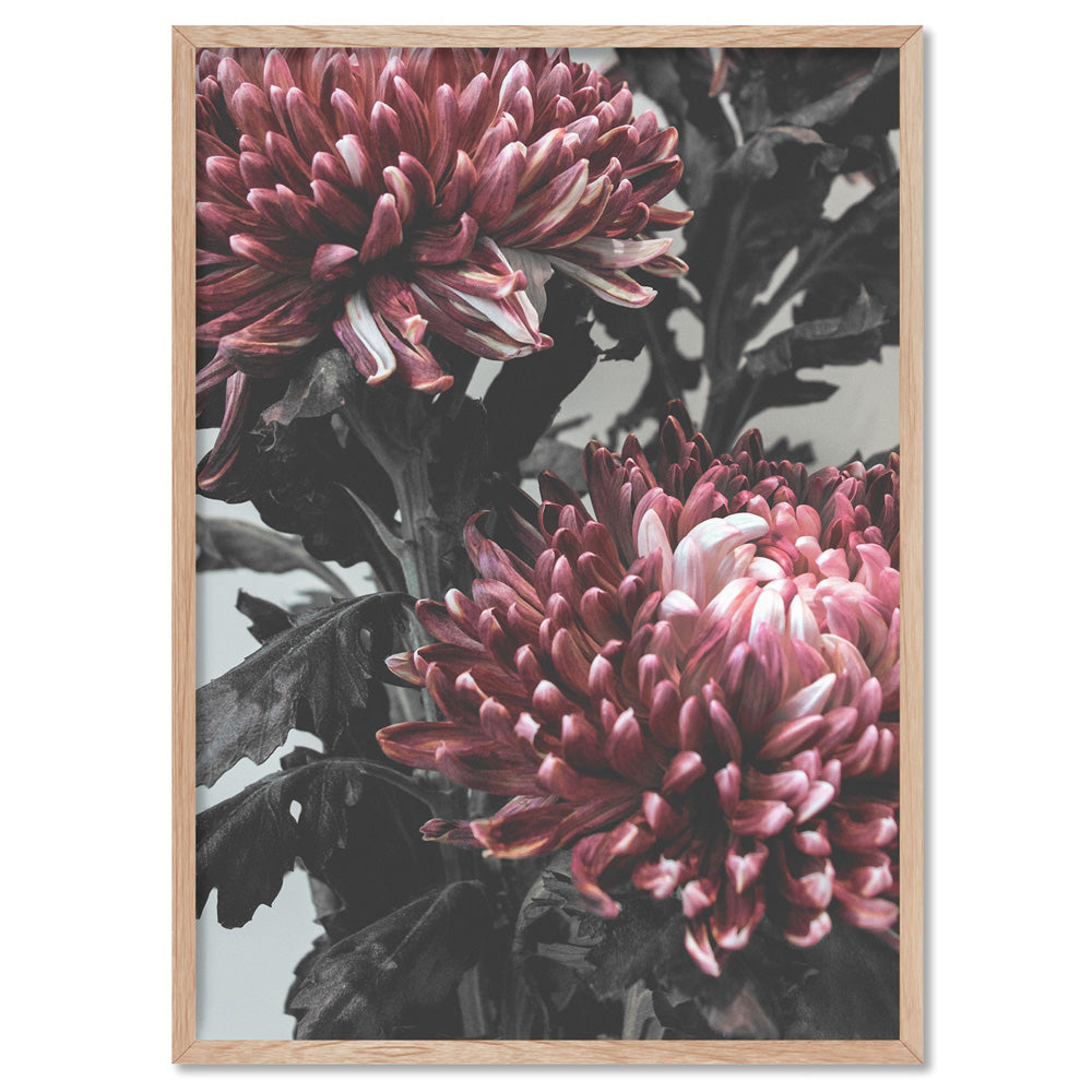 Red Florals / Chrysanthemums in Bloom - Art Print, Poster, Stretched Canvas, or Framed Wall Art Print, shown in a natural timber frame