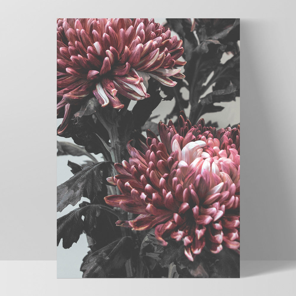 Red Florals / Chrysanthemums in Bloom - Art Print, Poster, Stretched Canvas, or Framed Wall Art Print, shown as a stretched canvas or poster without a frame