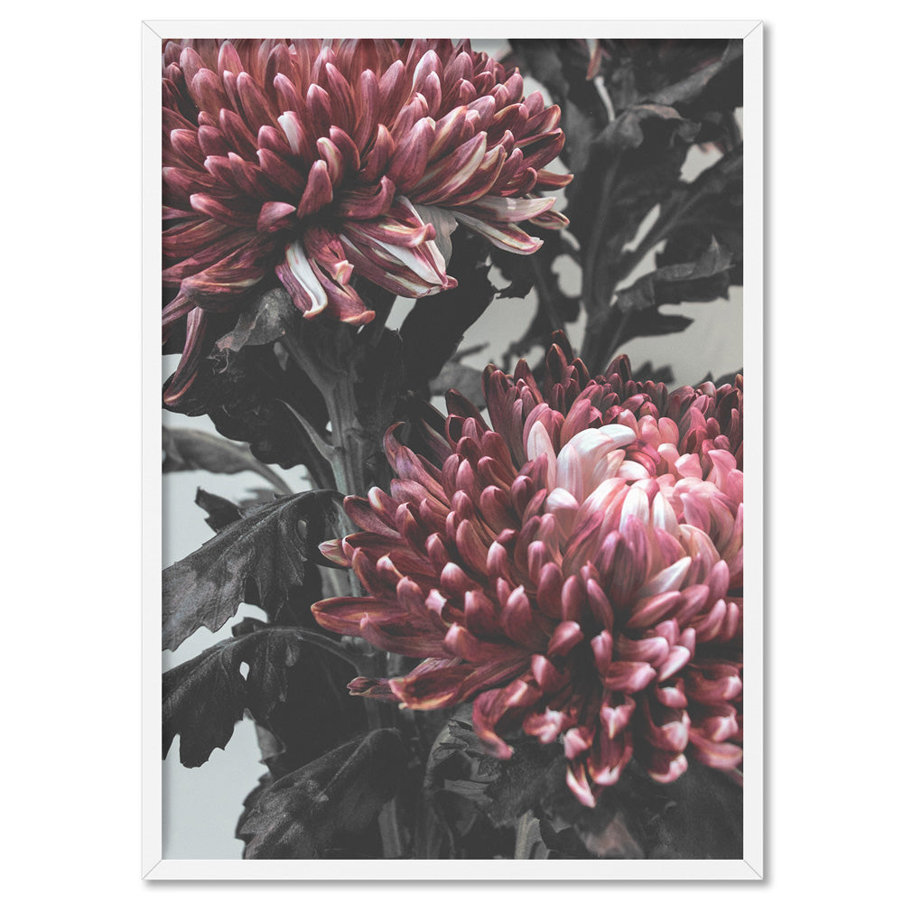 Red Florals / Chrysanthemums in Bloom - Art Print, Poster, Stretched Canvas, or Framed Wall Art Print, shown in a white frame