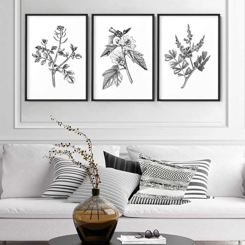 Botanical Floral Illustration I - Art Print, Poster, Stretched Canvas or Framed Wall Art, shown framed in a home interior space