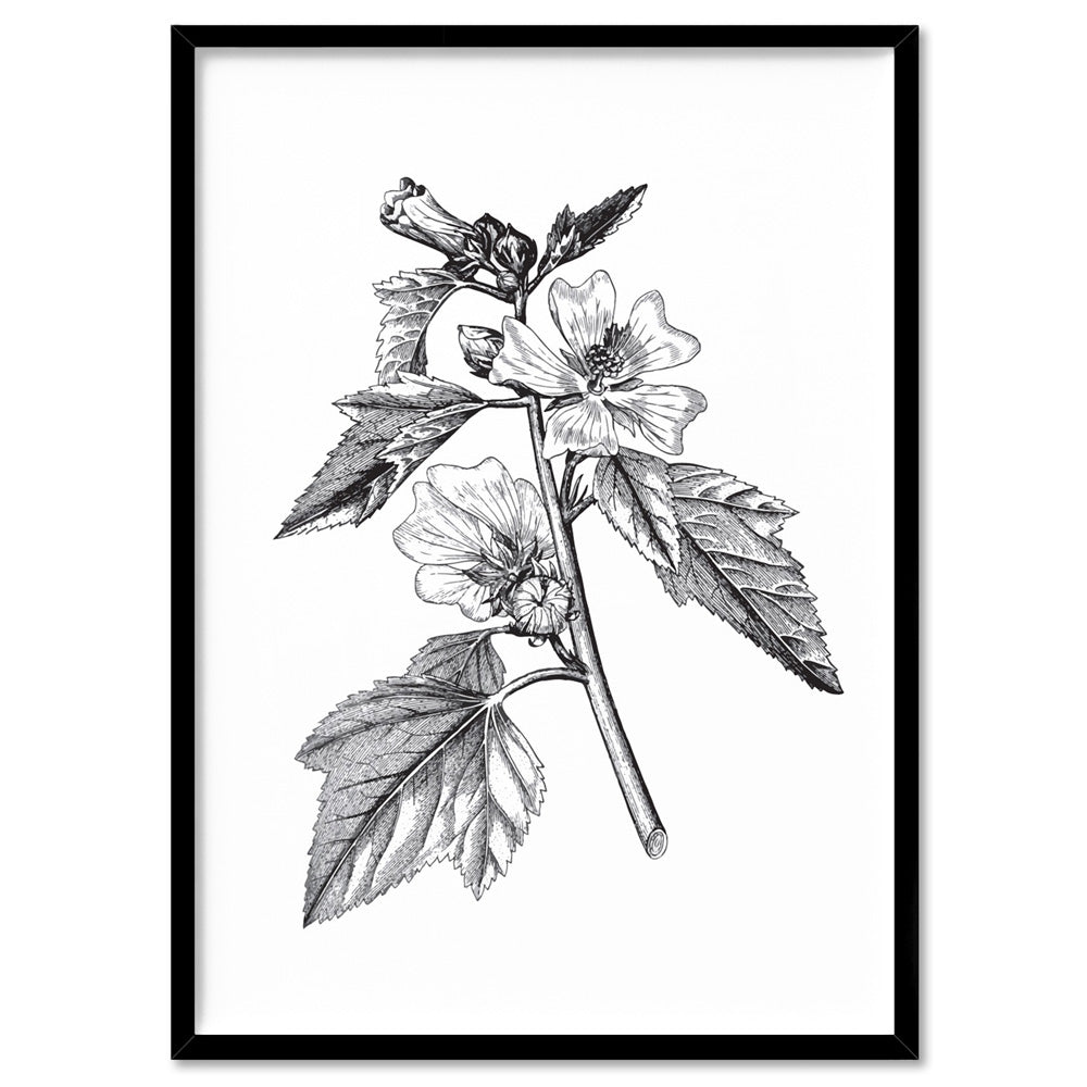Botanical Floral Illustration II - Art Print, Poster, Stretched Canvas, or Framed Wall Art Print, shown in a black frame