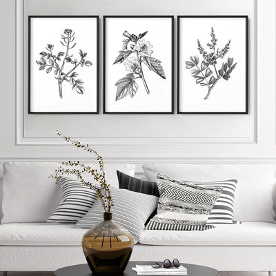 Botanical Floral Illustration II - Art Print, Poster, Stretched Canvas or Framed Wall Art, shown framed in a home interior space