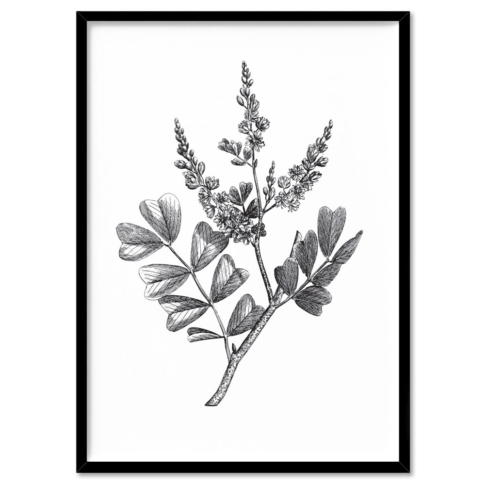 Botanical Floral Illustration III - Art Print, Poster, Stretched Canvas, or Framed Wall Art Print, shown in a black frame