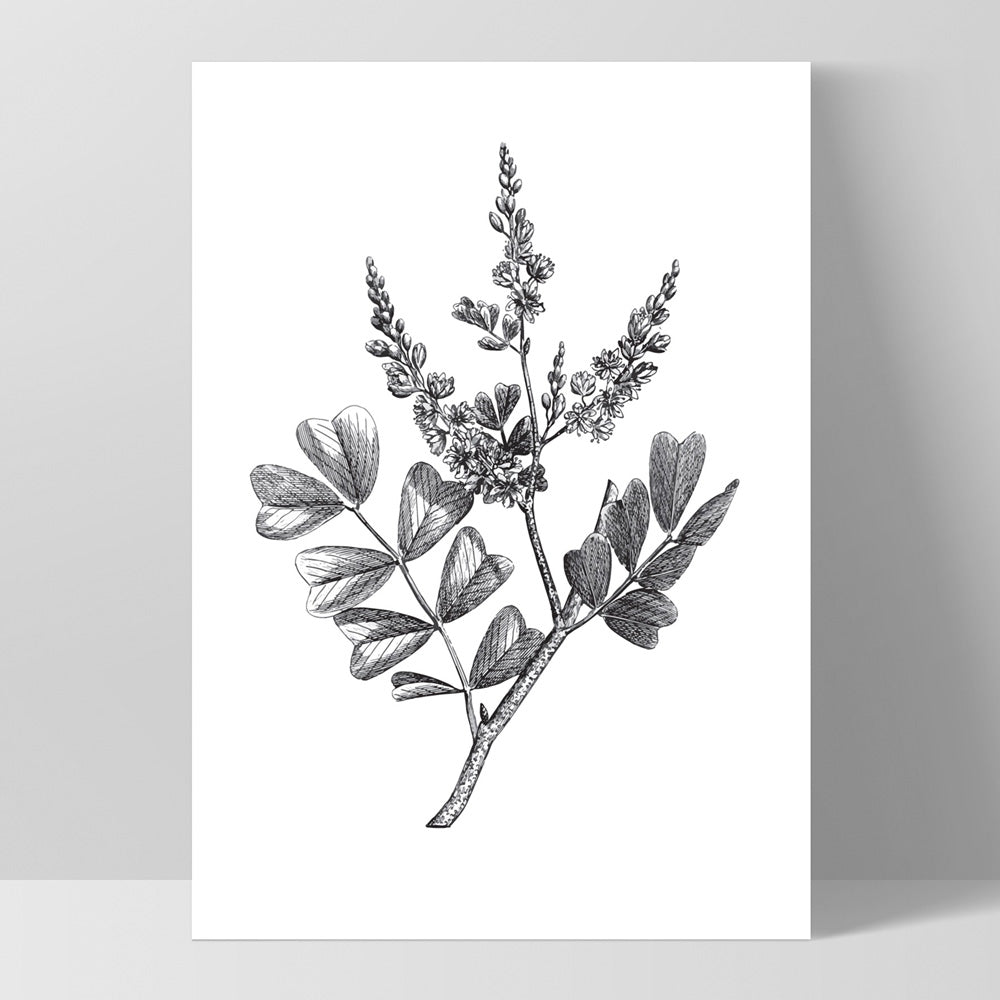 Botanical Floral Illustration III - Art Print, Poster, Stretched Canvas, or Framed Wall Art Print, shown as a stretched canvas or poster without a frame
