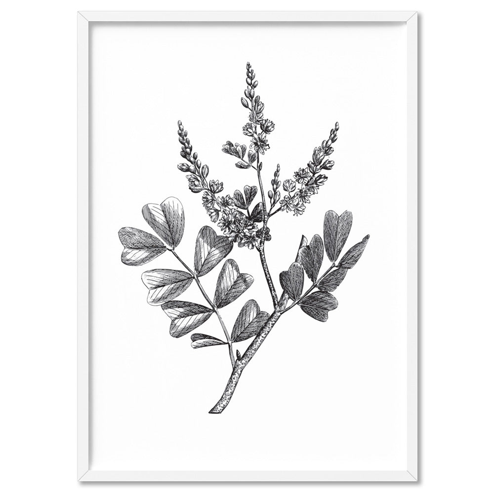 Botanical Floral Illustration III - Art Print, Poster, Stretched Canvas, or Framed Wall Art Print, shown in a white frame