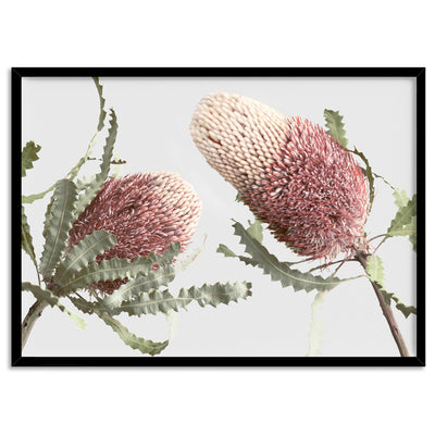 Blushing Banksia Duo Landscape - Art Print, Poster, Stretched Canvas, or Framed Wall Art Print, shown in a black frame