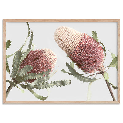 Blushing Banksia Duo Landscape - Art Print, Poster, Stretched Canvas, or Framed Wall Art Print, shown in a natural timber frame