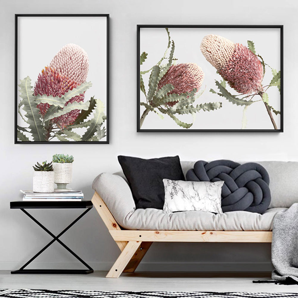 Blushing Banksia Duo Landscape - Art Print, Poster, Stretched Canvas or Framed Wall Art, shown framed in a home interior space