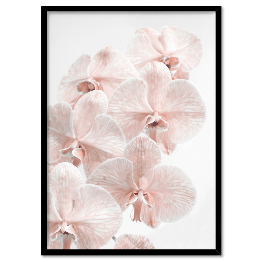Blushing Orchid Blooms I - Art Print, Poster, Stretched Canvas, or Framed Wall Art Print, shown in a black frame