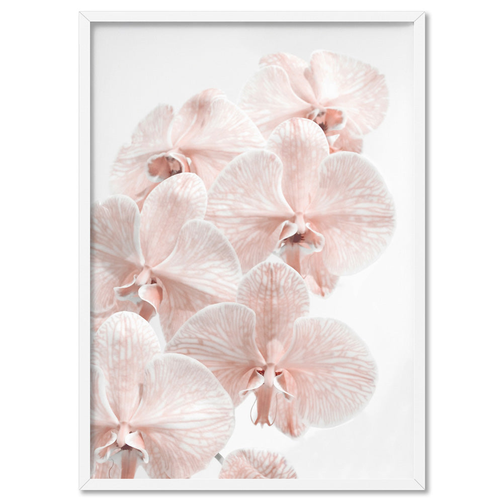 Blushing Orchid Blooms I - Art Print, Poster, Stretched Canvas, or Framed Wall Art Print, shown in a white frame