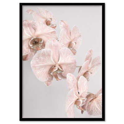 Blushing Orchid Blooms II - Art Print, Poster, Stretched Canvas, or Framed Wall Art Print, shown in a black frame