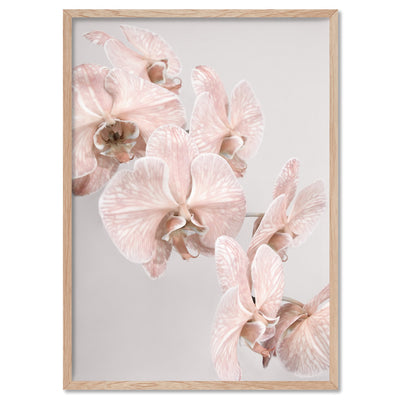 Blushing Orchid Blooms II - Art Print, Poster, Stretched Canvas, or Framed Wall Art Print, shown in a natural timber frame