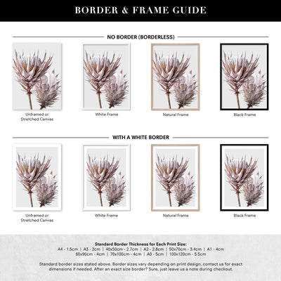 King Protea Duo in Blush - Art Print, Poster, Stretched Canvas or Framed Wall Art, Showing White , Black, Natural Frame Colours, No Frame (Unframed) or Stretched Canvas, and With or Without White Borders