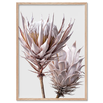 King Protea Duo in Blush - Art Print, Poster, Stretched Canvas, or Framed Wall Art Print, shown in a natural timber frame