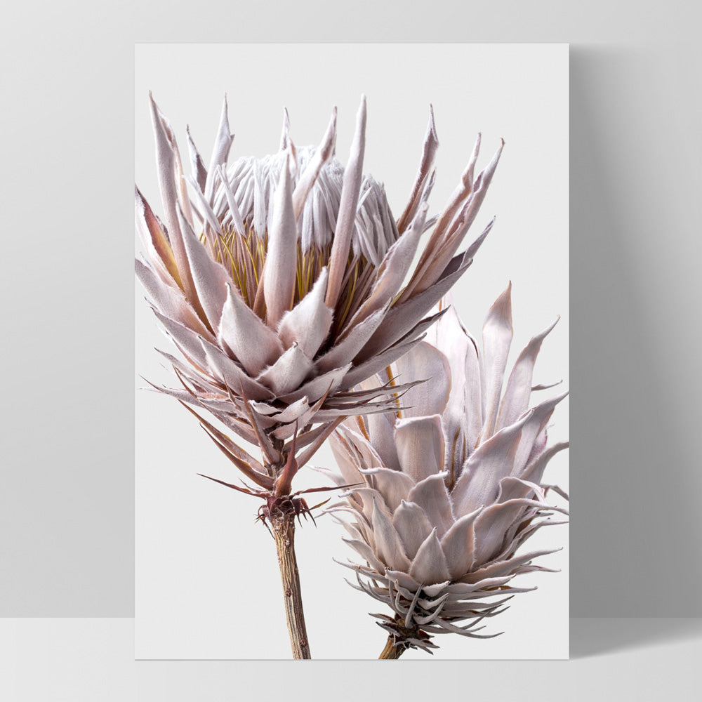 King Protea Duo in Blush - Art Print, Poster, Stretched Canvas, or Framed Wall Art Print, shown as a stretched canvas or poster without a frame
