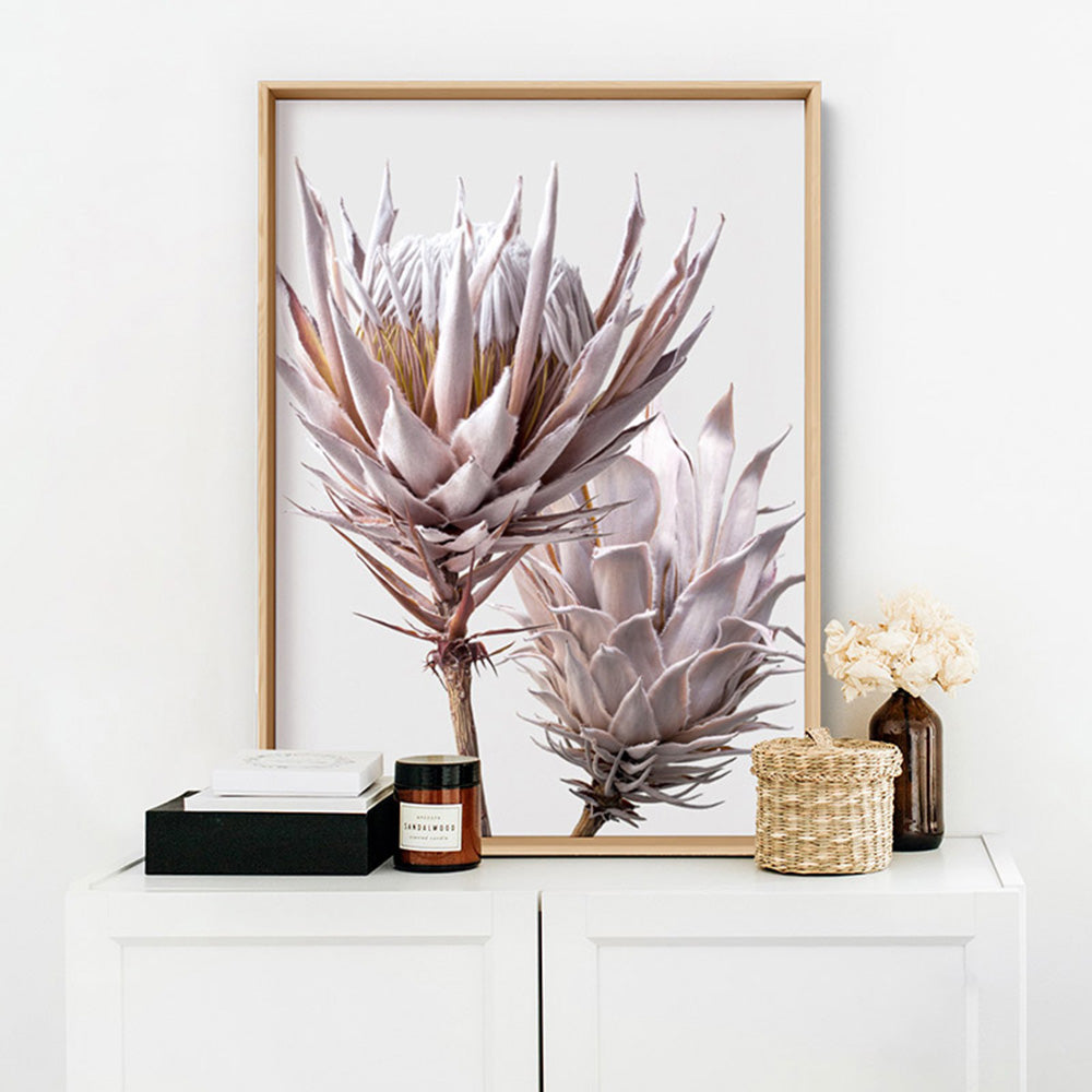 King Protea Duo in Blush - Art Print, Poster, Stretched Canvas or Framed Wall Art Prints, shown framed in a room