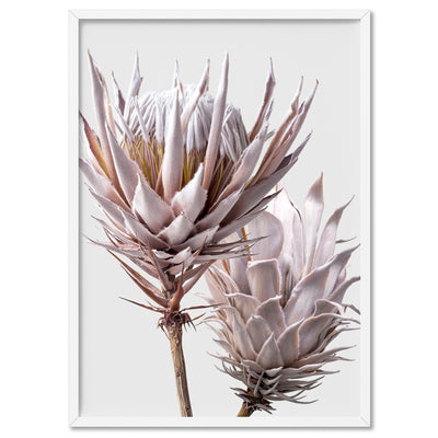 King Protea Duo in Blush - Art Print, Poster, Stretched Canvas, or Framed Wall Art Print, shown in a white frame