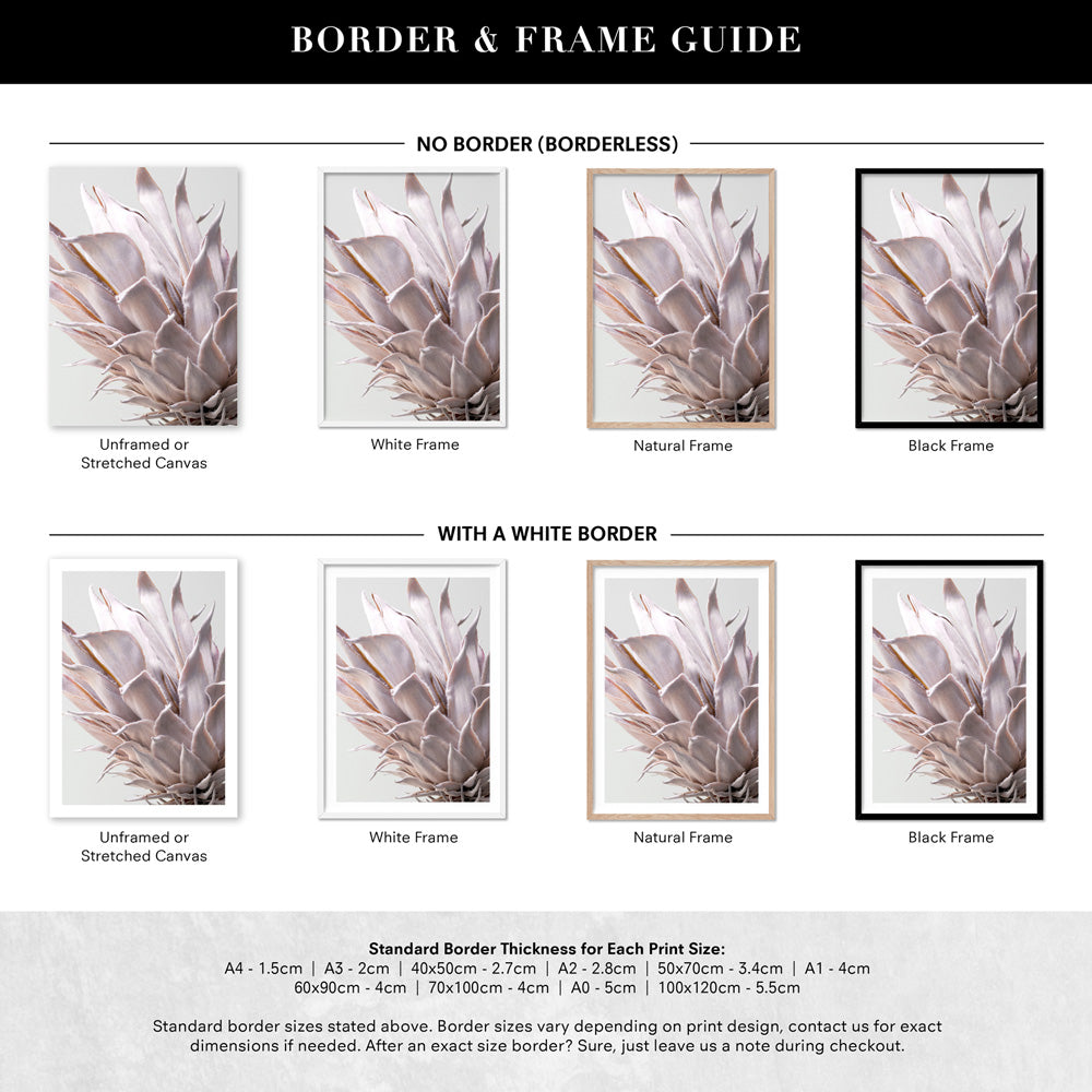 King Protea Close up in Blush - Art Print, Poster, Stretched Canvas or Framed Wall Art, Showing White , Black, Natural Frame Colours, No Frame (Unframed) or Stretched Canvas, and With or Without White Borders