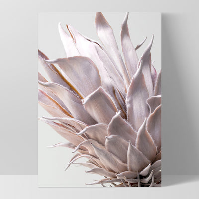 King Protea Close up in Blush - Art Print, Poster, Stretched Canvas, or Framed Wall Art Print, shown as a stretched canvas or poster without a frame