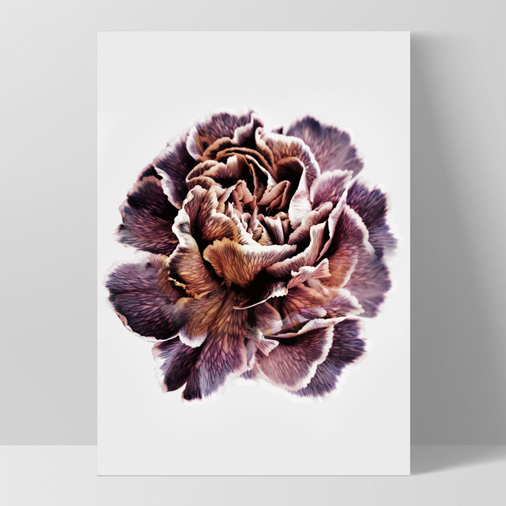 Floral Pose, Close up detail of Flower - Art Print, Poster, Stretched Canvas, or Framed Wall Art Print, shown as a stretched canvas or poster without a frame
