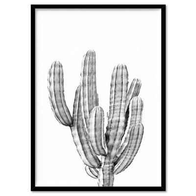 Monochrome Cacti - Art Print, Poster, Stretched Canvas, or Framed Wall Art Print, shown in a black frame
