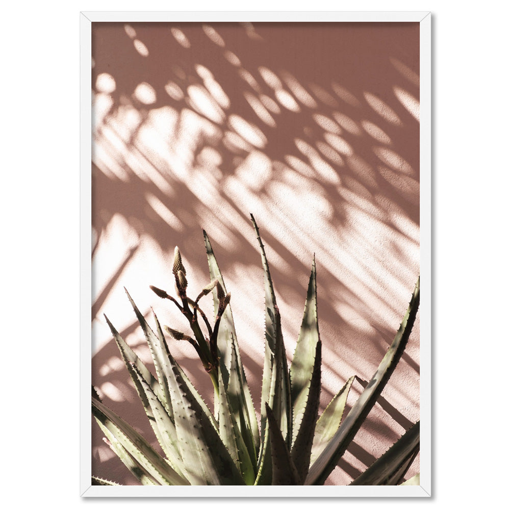 Aloe Succulent in Afternoon Light - Art Print, Poster, Stretched Canvas, or Framed Wall Art Print, shown in a white frame