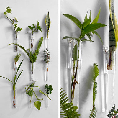 Wall Plant Garden Test Tube Hangers - Set of 9 shown on the wall including detailed photo showing quality