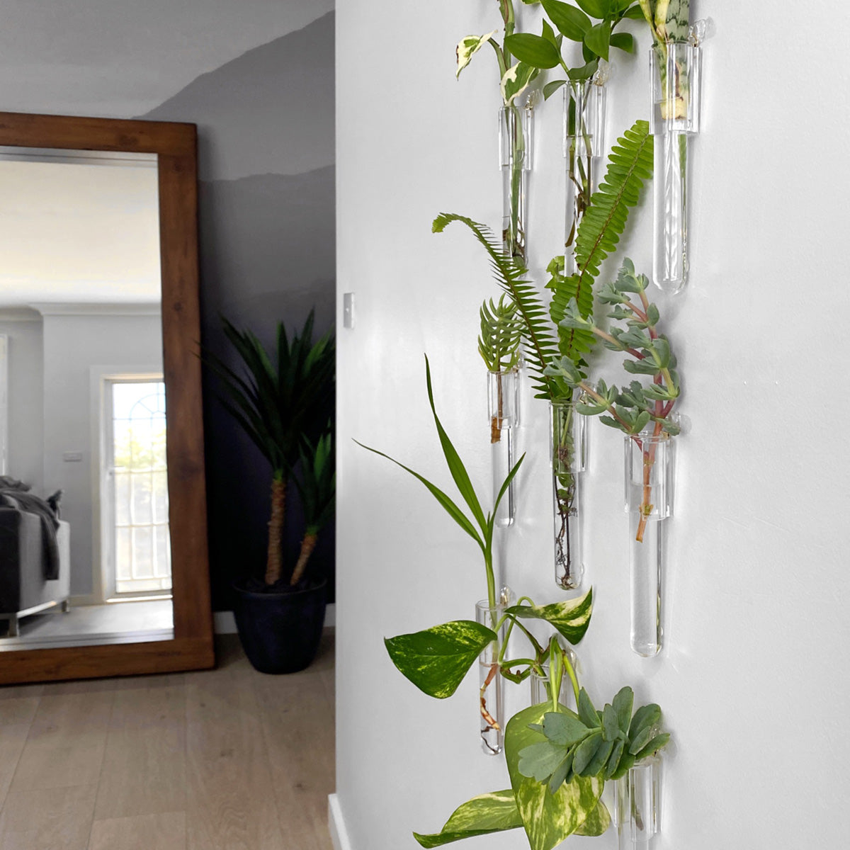 Glass Test Tube Hanging Planters - Set of 9 shown on the wall indoors.