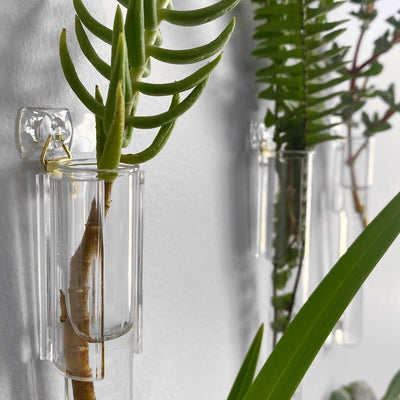 Test Tube Plant Hanger. Detailed close up photo showing the tube and brass hook
