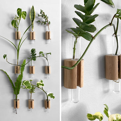 Wall Plant Garden Test Tube Vases - Set of 9 shown on the wall including detailed photo showing quality