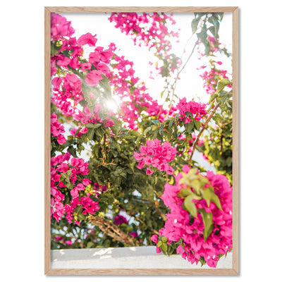 Santorini in Spring | Pink Bougainvillea Blooms - Art Print by Victoria's Stories, Poster, Stretched Canvas, or Framed Wall Art Print, shown in a natural timber frame