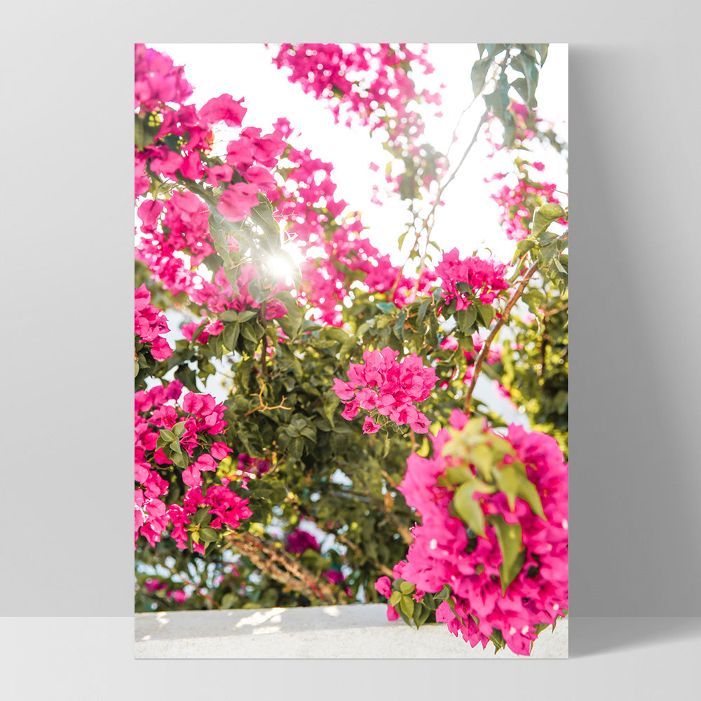 Santorini in Spring | Pink Bougainvillea Blooms - Art Print by Victoria's Stories, Poster, Stretched Canvas, or Framed Wall Art Print, shown as a stretched canvas or poster without a frame