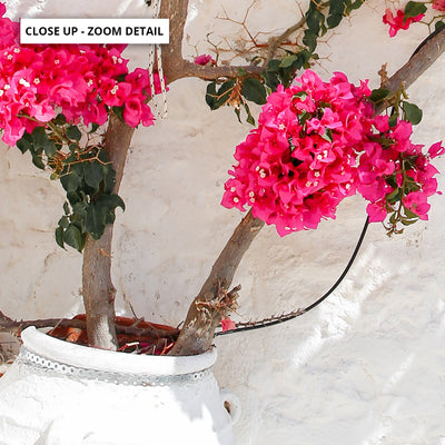 Santorini in Spring | Potted Bougainvillea - Art Print by Victoria's Stories, Poster, Stretched Canvas or Framed Wall Art, Close up View of Print Resolution